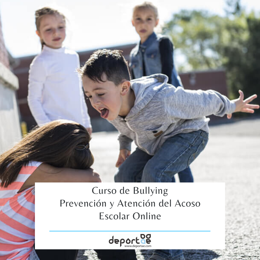 Curso de Bullying Deportae Animación Infantil y Deporte