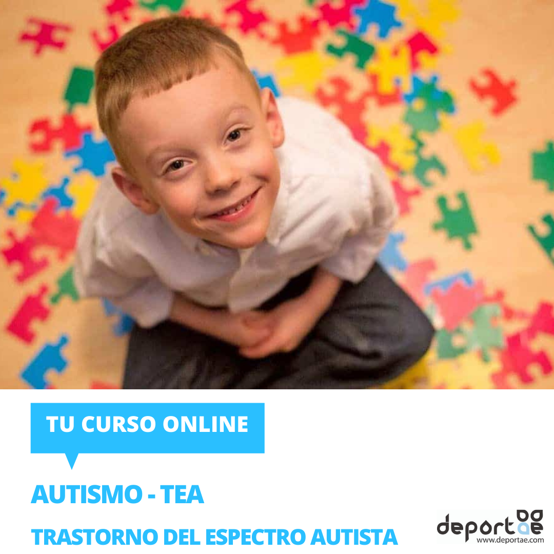 Curso De Autismo Tea Trastorno Del Espectro Autista 