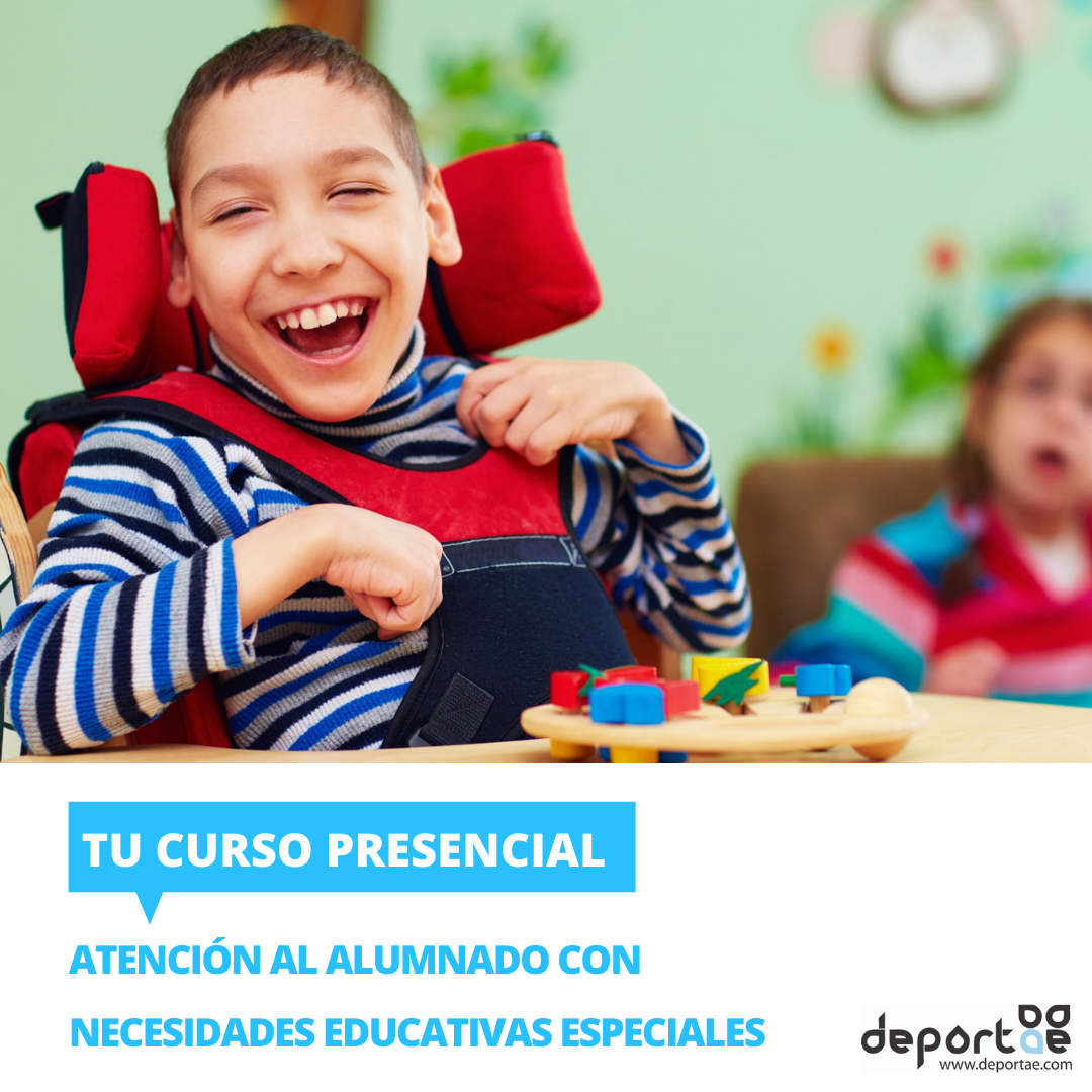Curso En Granada De Atenci n Al Alumnado Con Necesidades Educativas curso-en-granada-de-atenci-n-al-alumnado-con-necesidades-educativas